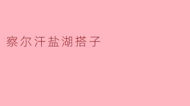 察尔汗盐湖搭子