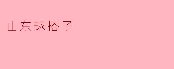 山东球搭子