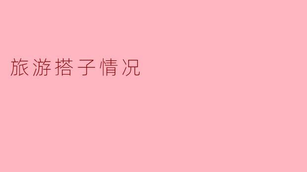 旅游搭子情况