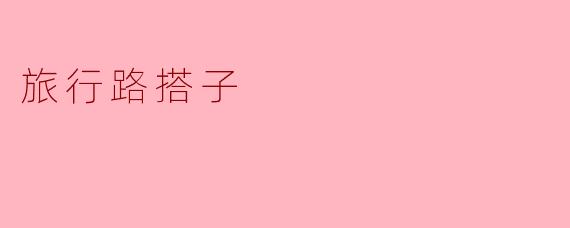 路搭子：一场关于“陌生人”的共谋