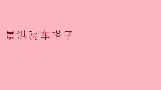 景洪骑车搭子