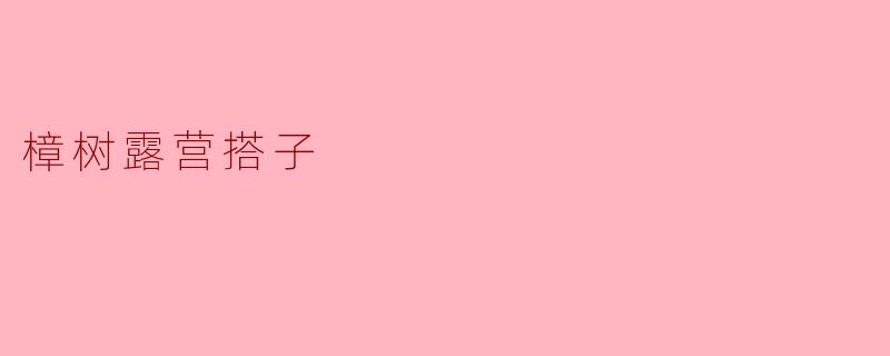 樟树露营搭子