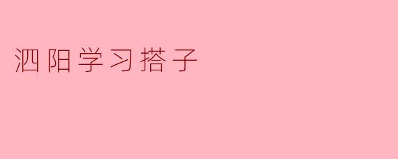 泗阳学习搭子