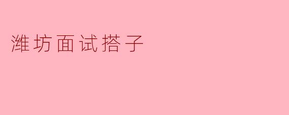 潍坊面试搭子