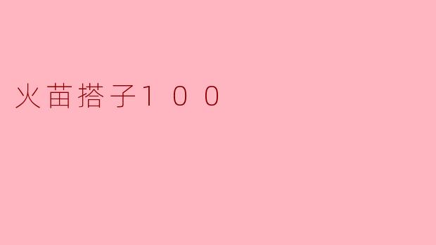 火苗搭子100