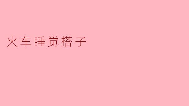 火车睡觉搭子