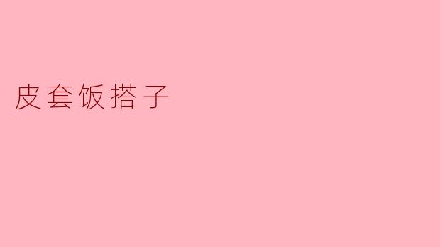 皮套饭搭子