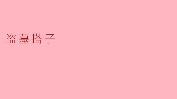 盗墓搭子