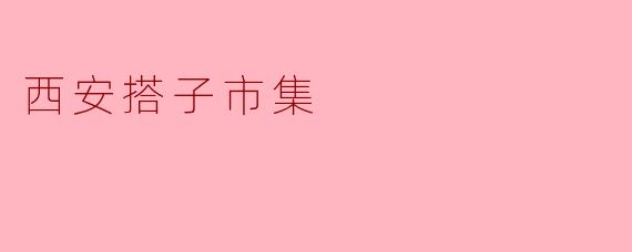 西安搭子市集