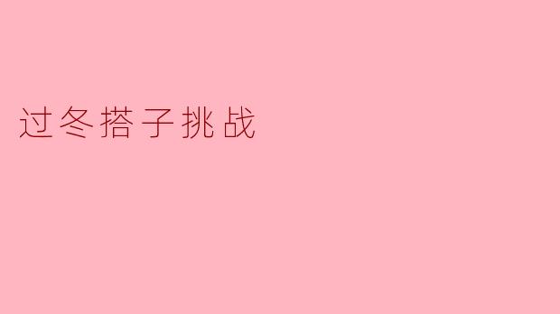 过冬搭子挑战