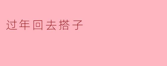 过年回去搭子