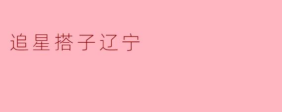 追星搭子辽宁