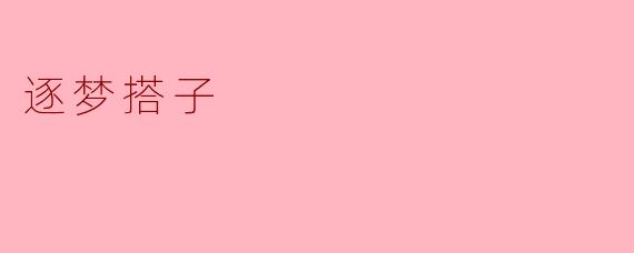 逐梦搭子