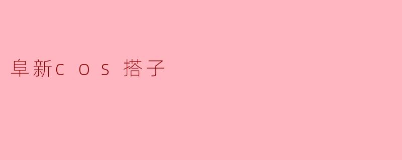 阜新cos搭子
